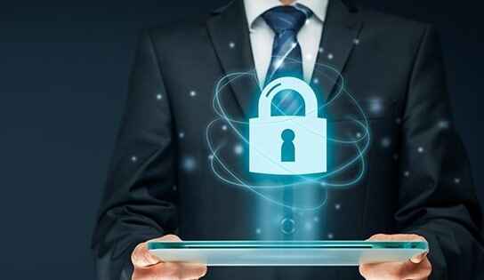 Security Professionals